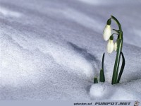 fuer Bildgenerator freigegeben 002834