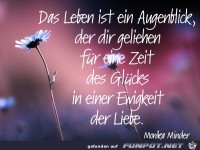 Das Leben ist ein Augenblick