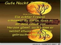 Gute Nacht Freunde1