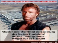 Chuck Norris �bernimmt die Bauleitung...