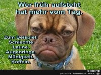 wer f�h aufsteht.......