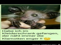 Jetzt wei� ich endlich, wonach ich suchen mu�