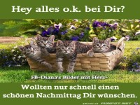 Hey alles O k bei Dir