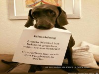 Eilmeldung .........