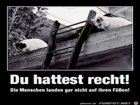 Menschen landen ja gar nicht auf ihren Fen