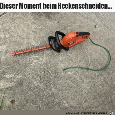 Hecken-Unfall.jpg von SWolle