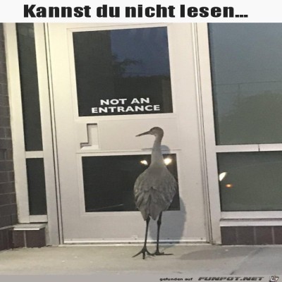 Kann-nicht-lesen.jpg von Noah75