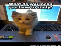 Was soll das hei�en?