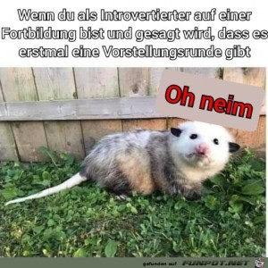 fun-Bild: Das braucht kein Mensch
