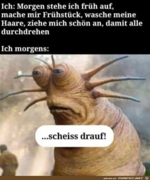 Was-interessieren-mich-meine-Vorsätze-von-gestern.jpg auf www.funpot.net