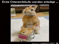 Ostereink�ufe gestartet