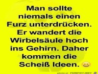 Man sollte niemals