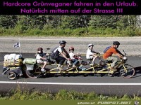 Langvelo