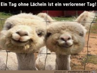 Ein Tag ohne Lächeln