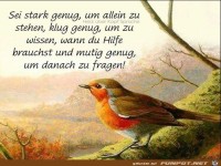 Sei stark genug um alleine zu stehen