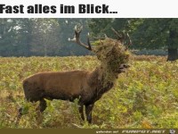 Bisschen verhangen