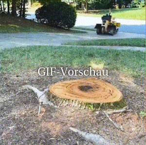 Baumstumpffräse