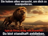 Sie haben alles versucht -