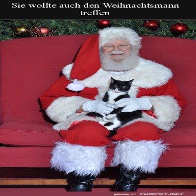 Katze-wollte-auch-zum-Weihnachtsmann.jpg von Kelly24