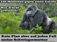 Gorilla gegen 100 Menschen: Wer siegt?