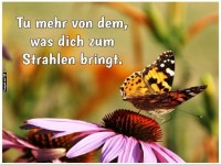 Inspiration in der Natur