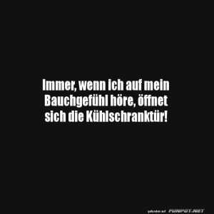 Wenn-das-Bauchgefhl-zur-Khlschranktr-fhrt.jpg von Joe2007