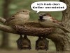 weiter