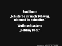 Kr�uter-Duell der Superlative