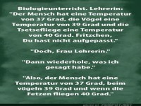 Der hei�e Fetzenflug der Biologie