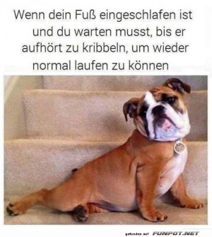 Fu�-eingschlafen.jpg auf www.funpot.net