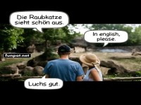 Luchs ins Englische �bersetzt