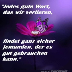 Schmetterling-sucht-Wort-Buddy.jpg von Leona