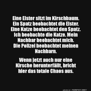 Kirschbaum-Kettensurveillance!.jpg von Talia1999