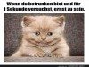 weiter