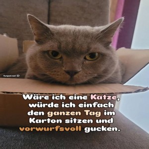 Der-Kater-Karton-Kapit�n.jpg von Sophie48