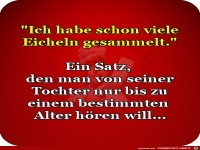 Ich habe schon viele Eicheln gesammelt