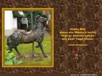 Wenn ein Mensch lacht