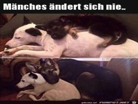 Manches �ndert sich nie