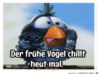 Fr�her Vogel