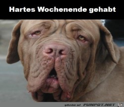 Hartes-Wochenende.jpg auf www.funpot.net