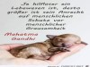 weiter