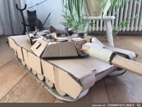 Besondere Katzen-Höhle