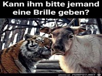 Er braucht eine Brille