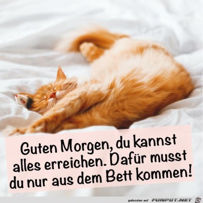 guten-Morgen.jpg von Pius