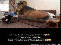 Ich reite k�nftig