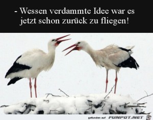 Zu-kalt.jpg auf www.funpot.net