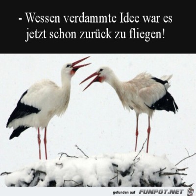 Zu-kalt.jpg von Marisa