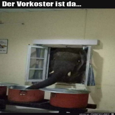 Der-Vorkoster-ist-am-Start.jpg von Amina