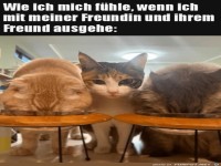 Das f�nfte Rad am Wagen