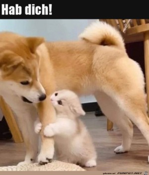 Gefangen.jpg auf www.funpot.net